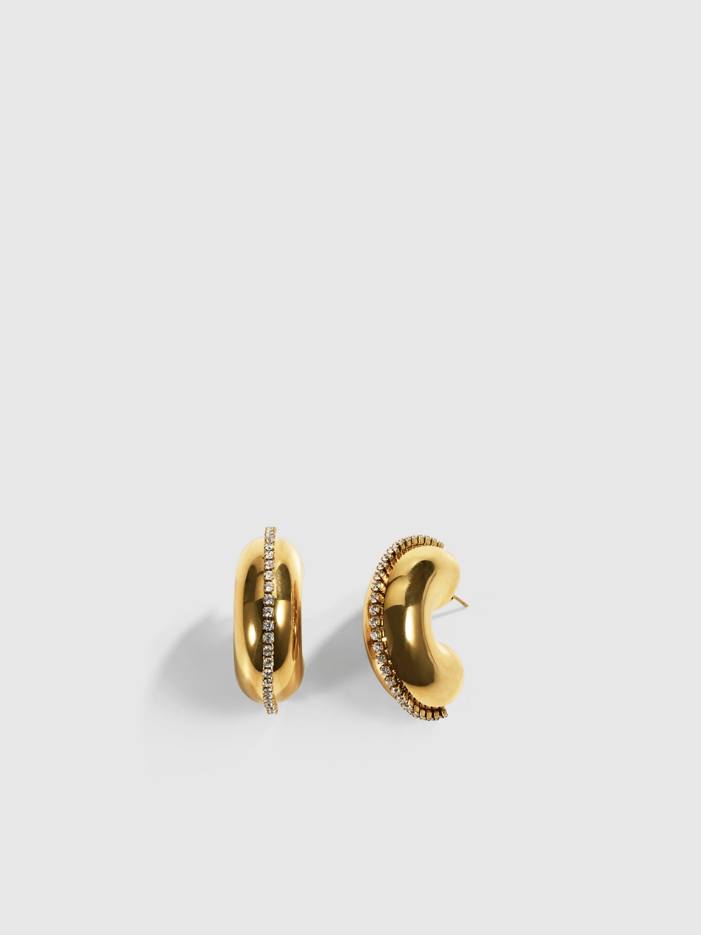LEO EARRINGS